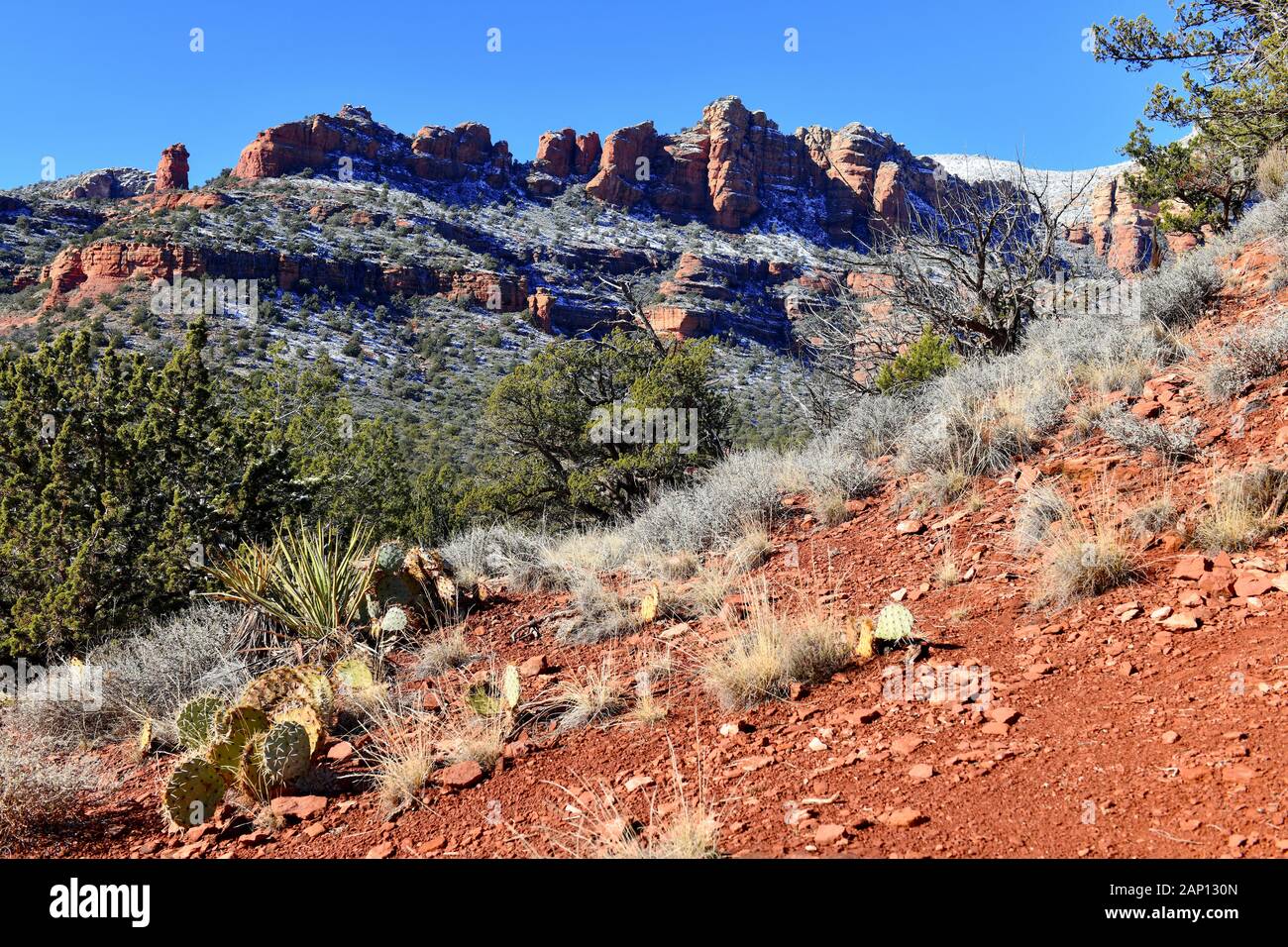 Red Rock Wüstenlandschaft in Sedona, Arizona, ein spiritueller Ort für Rückzugsorte und viele Wellness-Center Stockfoto