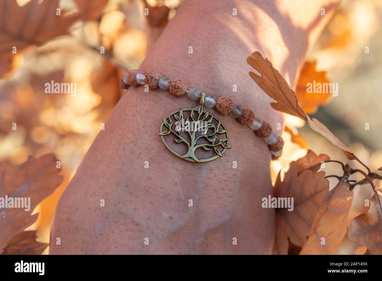 Männliche Hand Handgelenk im Herbst Natur mit rudraksha Labradorit Mineral Stein Perlen und Metall Kupfer Anhänger Armband Stockfoto