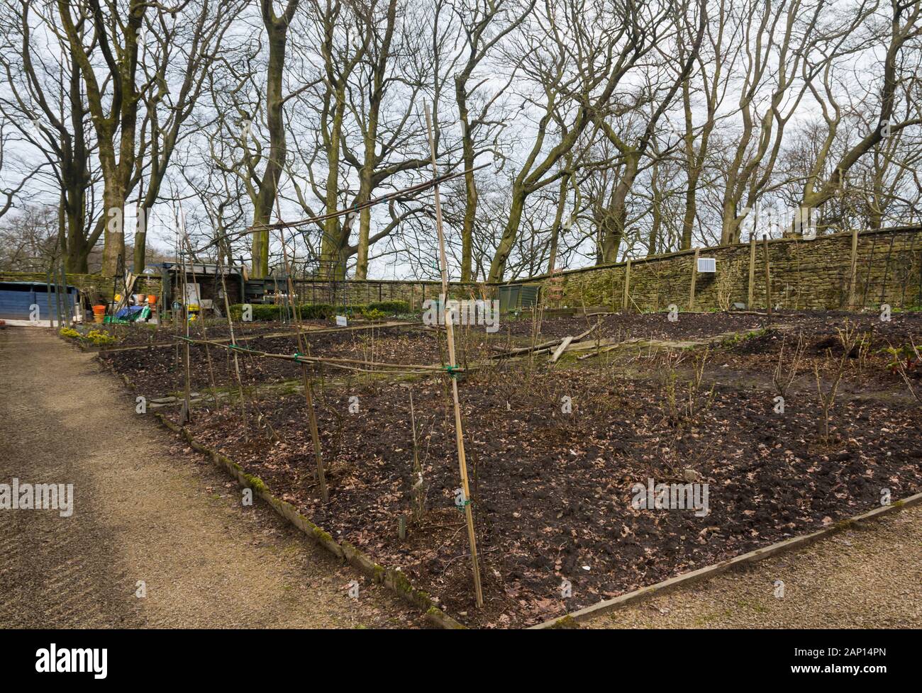 Der von Freiwilligen gepflegte, ummauerte Küchengarten von Turton Tower, Lancashire als Winter beginnt sich dem Frühling zuzuwenden. Stockfoto