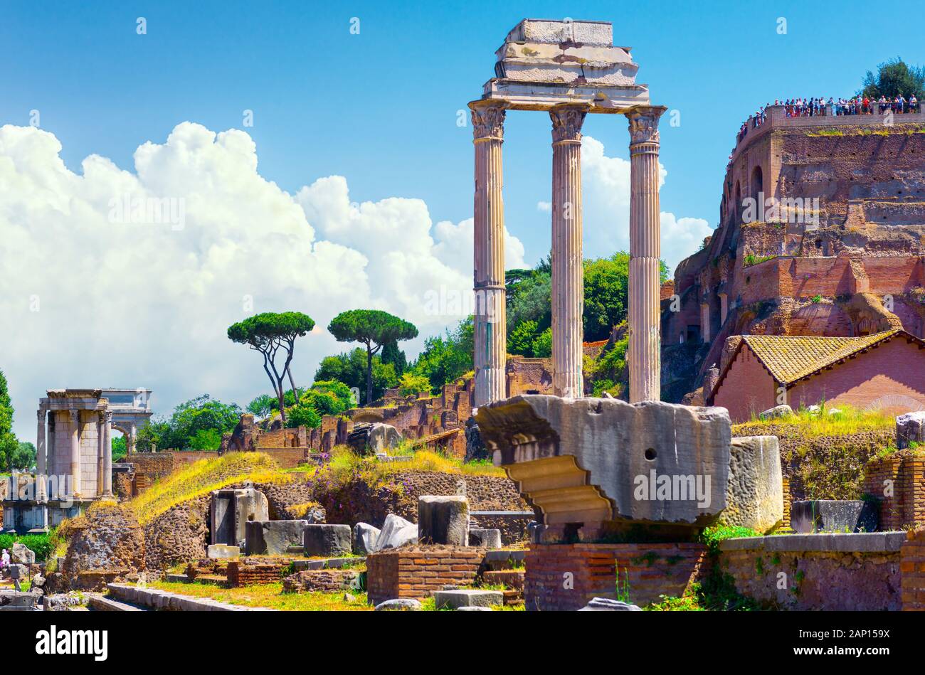 Ruinen des Forum Romanum im Sommer, Italien Stockfoto