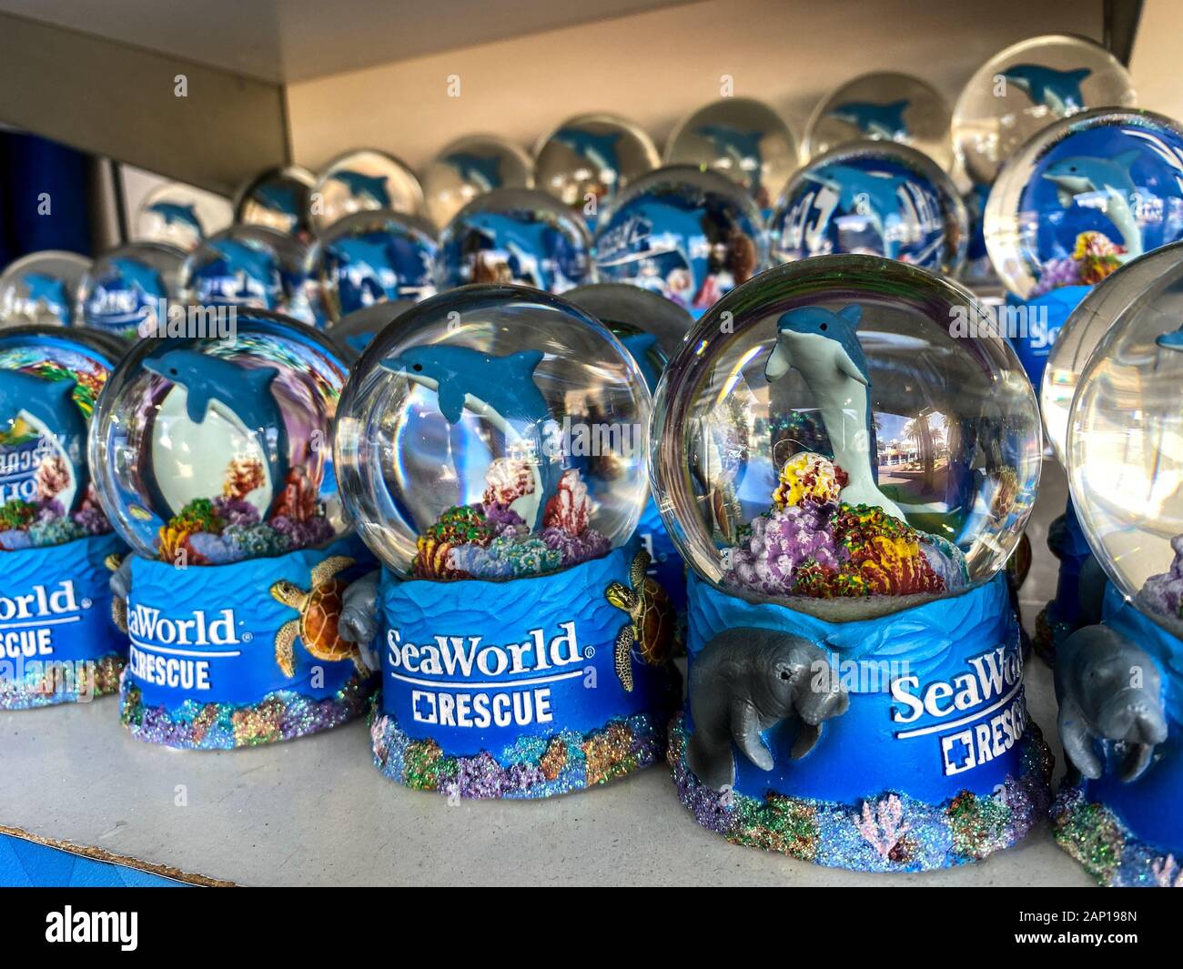 Orlando, FL/USA -1/17/20: ein Regal von Manatee, Delfine und Meeresschildkröten souvenir snowglobes in SeaWorld Orlando bereit für einen Park Guest zu erwerben. Stockfoto