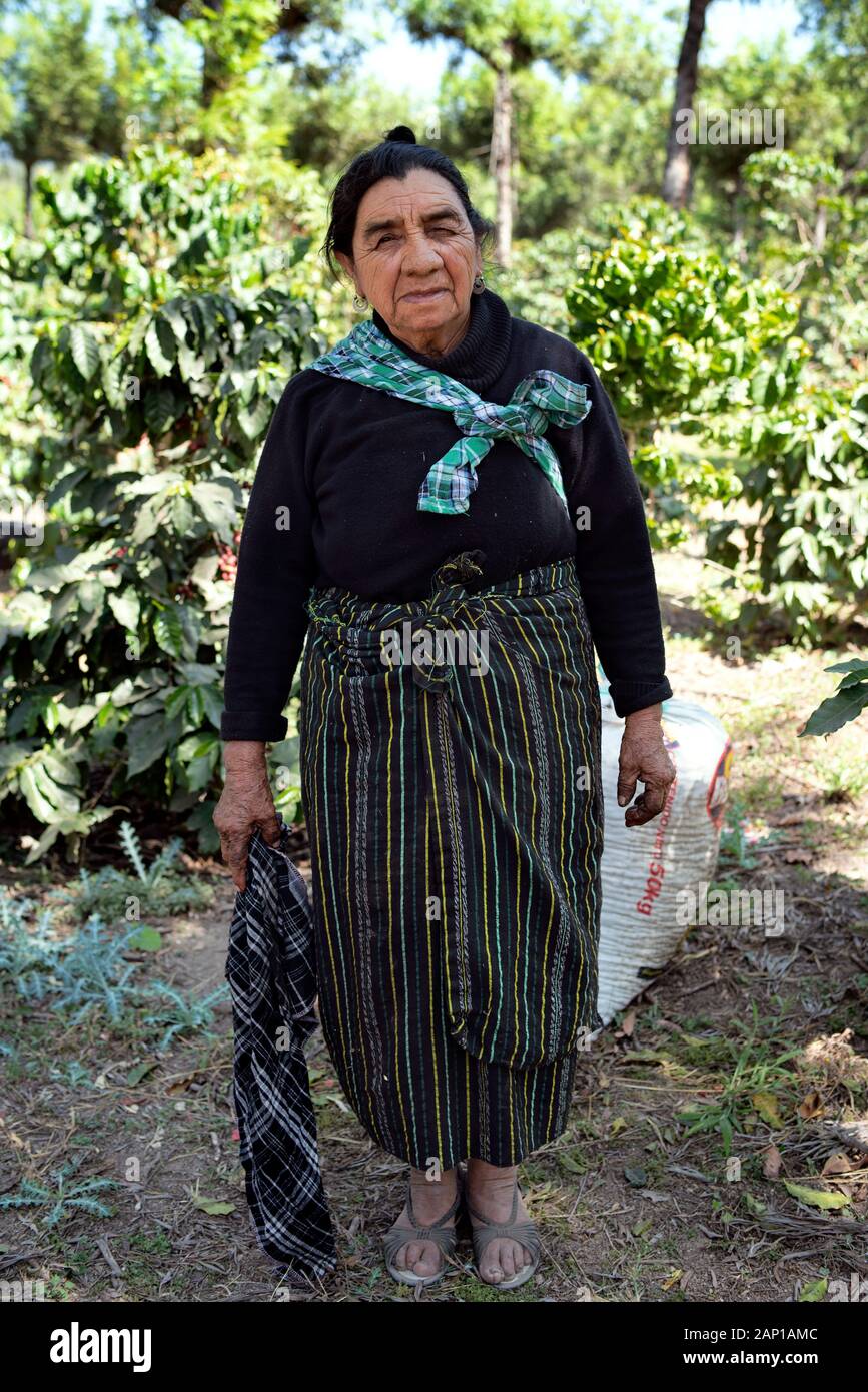 Porträt einer älteren indigenen Frau. Hinter den Kulissen einer Kaffeeplantage auf der San Lazaro St, Antigua, Guatemala. Januar 2019 Stockfoto