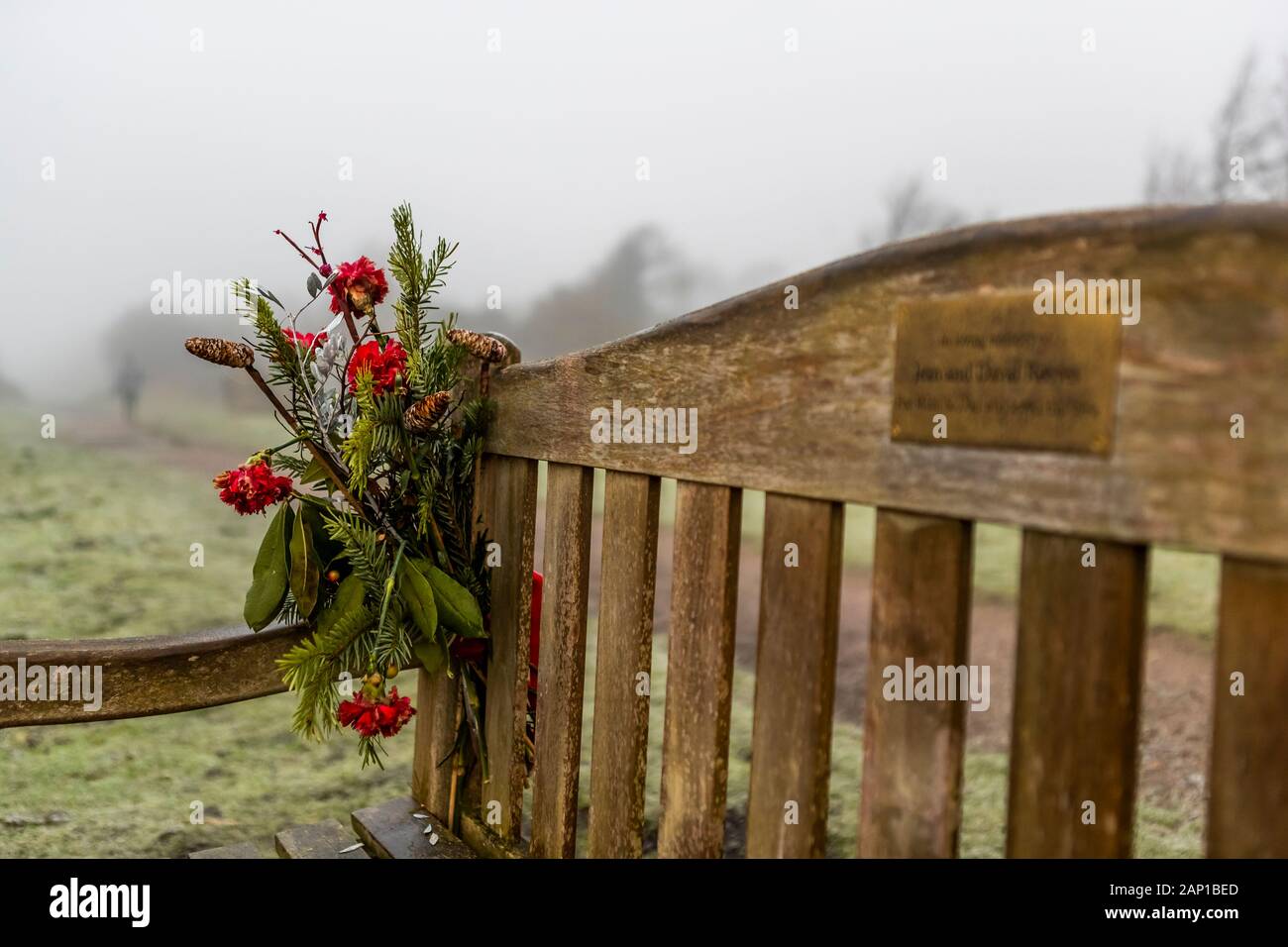 Erinnerungsbank zu Jean und David Reeves mit Blick auf den Fluss Severn in Lydney Hafen, Gloucestershire. UK. Stockfoto