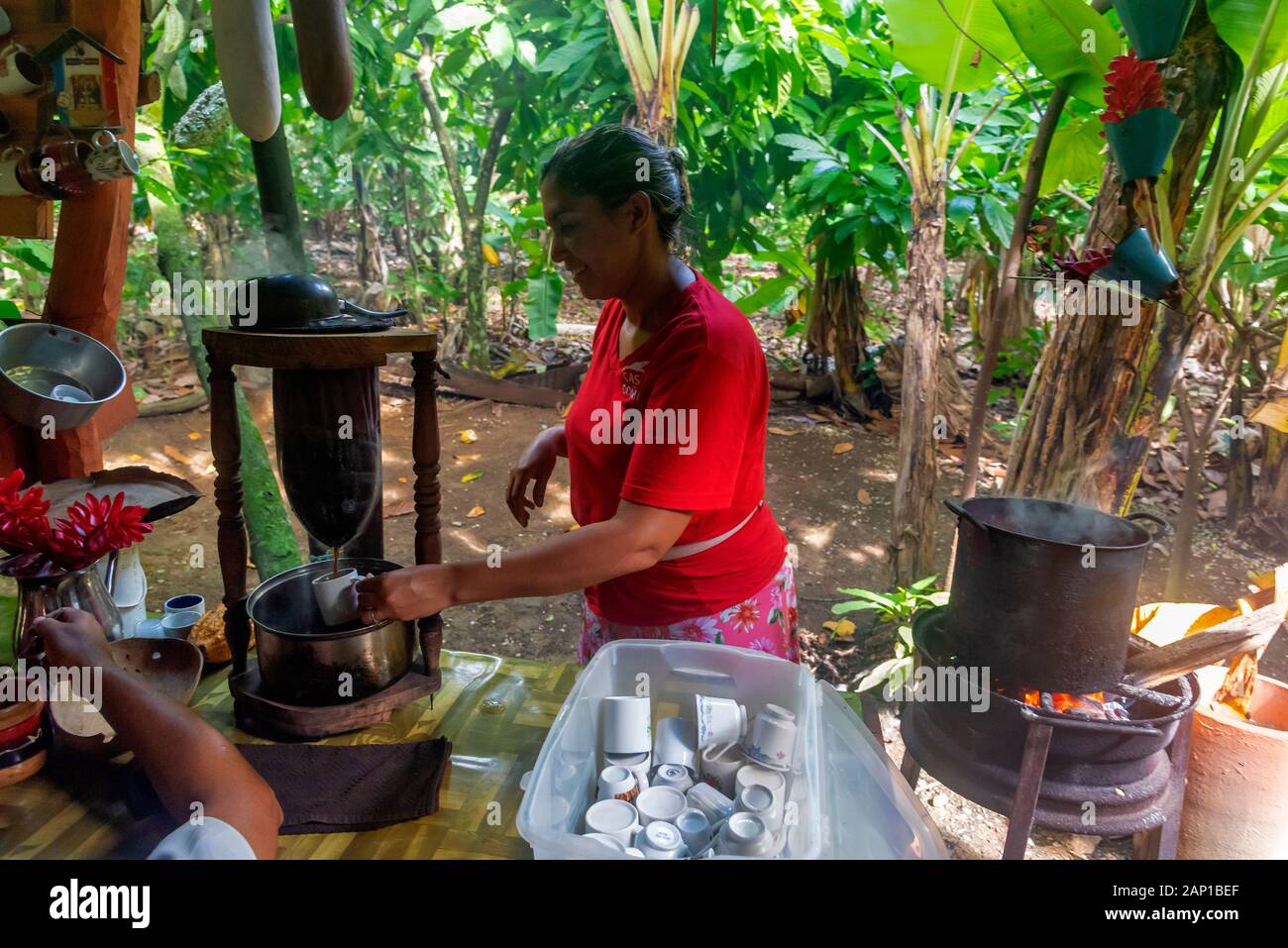 Landarbeiter Vorbereitung ein Getränk für Touristen, Kaffee und Kakao Farm, Punta Cana, Dominikanische RepublicP Stockfoto