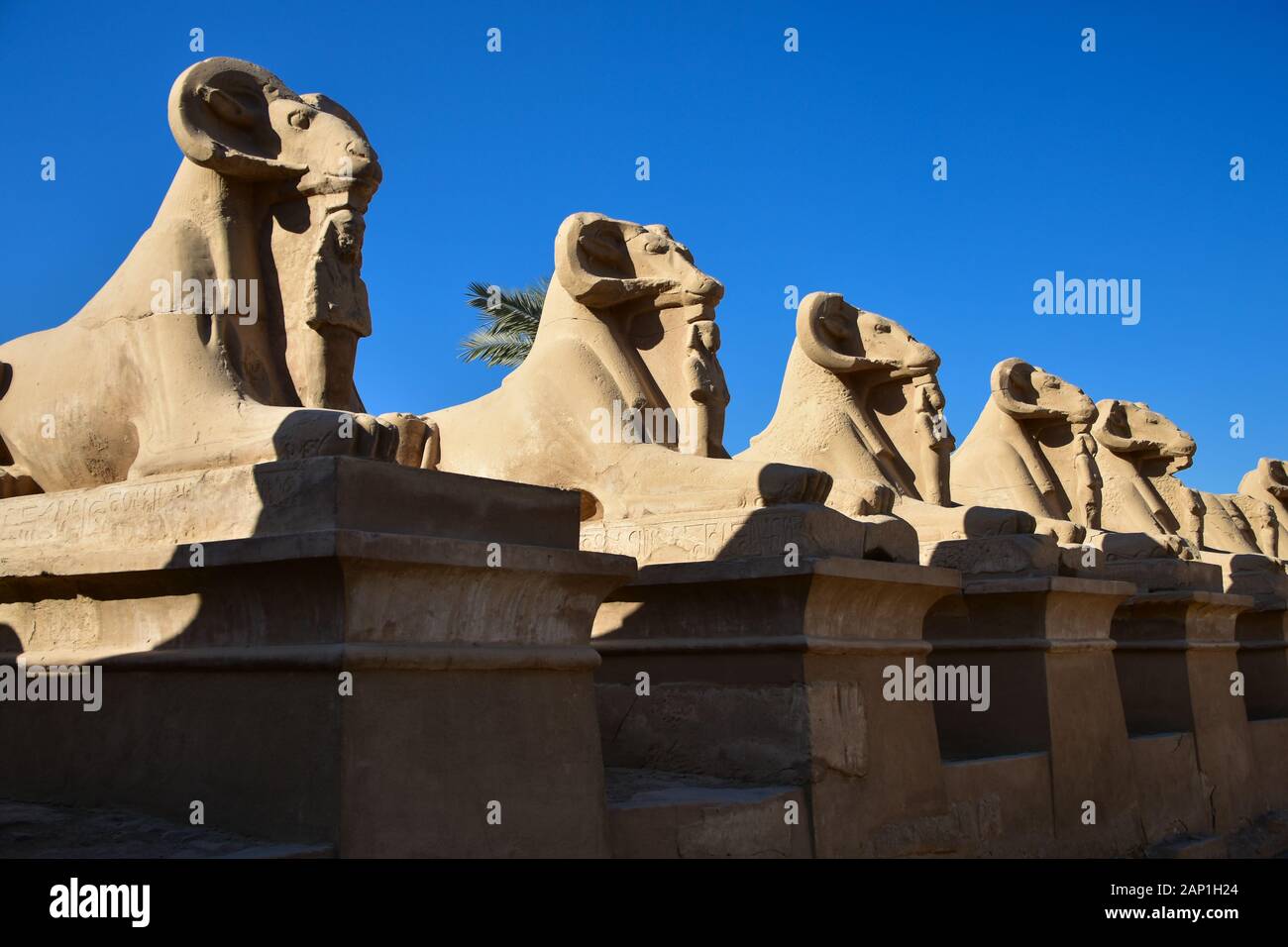 RAM-kopfige Sphinx am Karnak-Tempel in der Nähe von Luxor, Ägypten Stockfoto