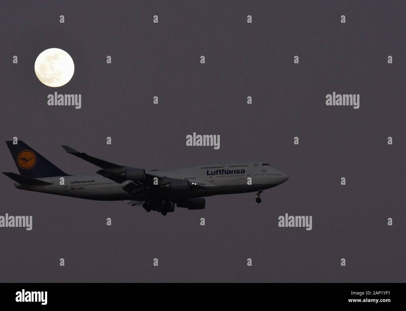 Ein Flugzeug der Boeing 747-400 der Lufthansa Airlines landet unter einem Vollmond nahe dem Orlando International Airport oder MCO. Stockfoto