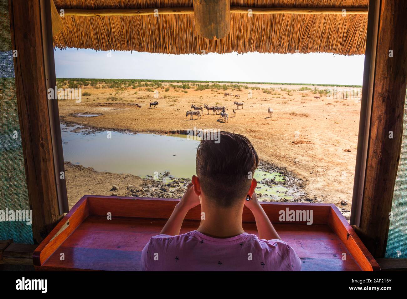 Touristische filme Tierwelt mit einem Smartphone im Etosha National Park, Namibia Stockfoto