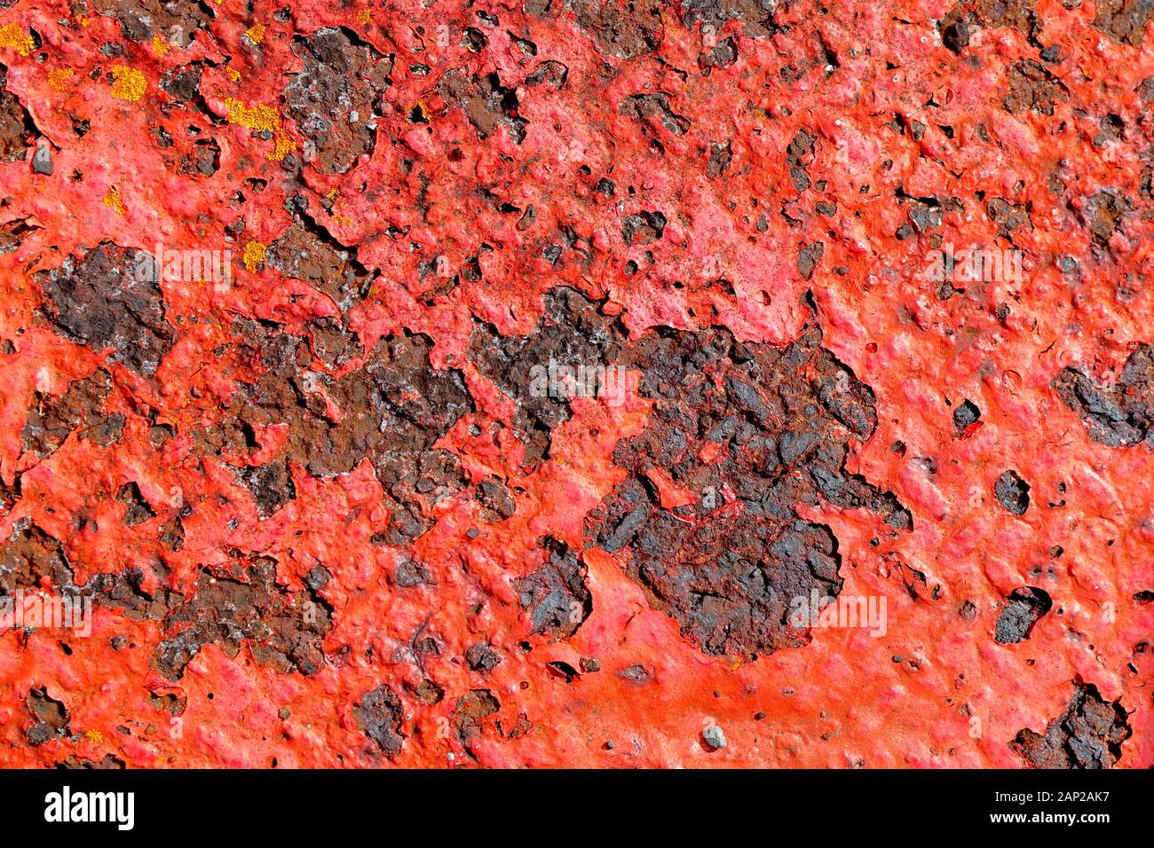 Alte rote Farbe, die rostende Stahlplatte mit Flechten abblättert, die in Flecken gehalten werden. Princes Wharf, Waitemata Harbour, Auckland, Neuseeland Stockfoto