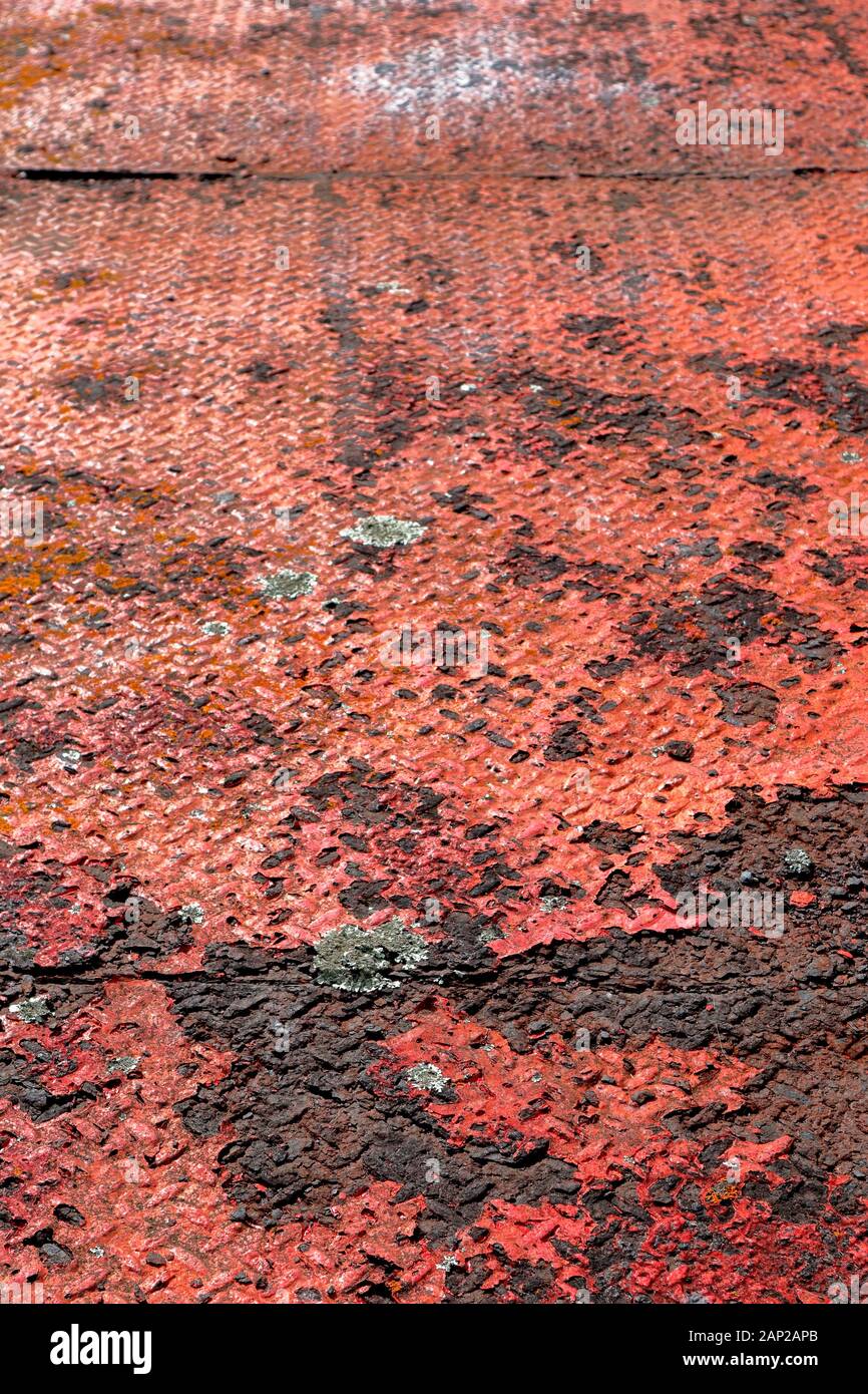 Alte rote Farbe, die rostende Stahlplatte mit Flechten abblättert, die in Flecken gehalten werden. Princes Wharf, Waitemata Harbour, Auckland, Neuseeland Stockfoto