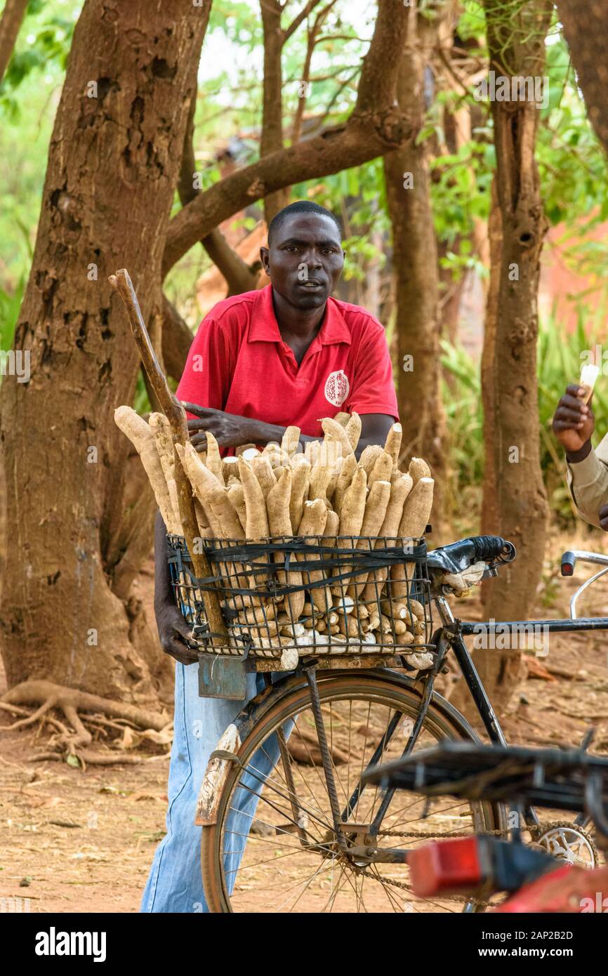 Ein malawischer Mann verkauft Casava mit seinem Fahrrad in einem malawianischen Dorf Stockfoto