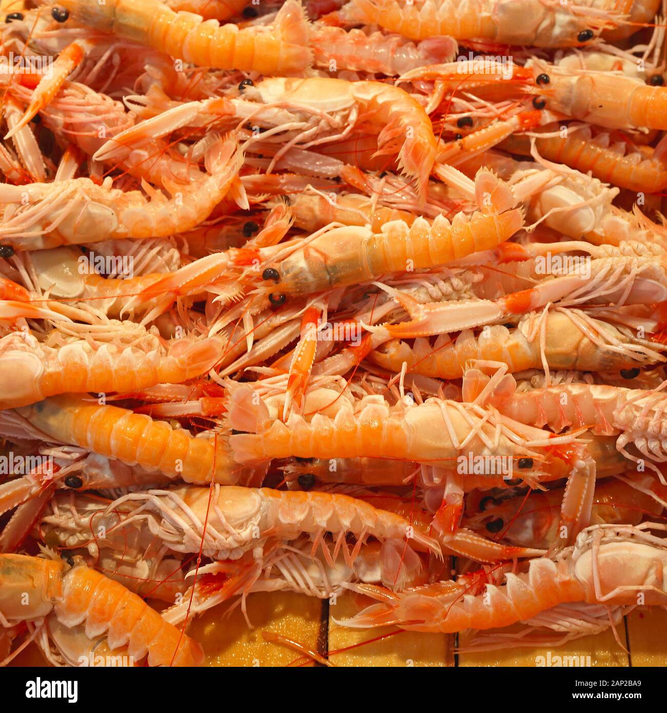 Bündel von Norwegischen Hummer in der Kiste am Fischmarkt Stockfoto