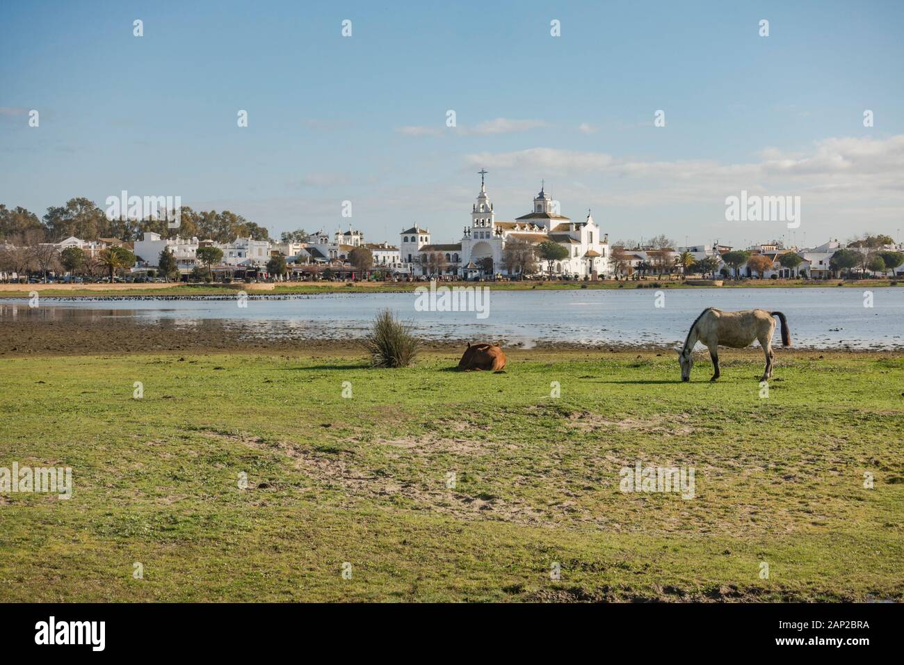 Halb wilden Pferde am marismas Nationalpark Doñana, El Rocio Kirche im Hintergrund, Andalusien, Spanien, Europa Stockfoto