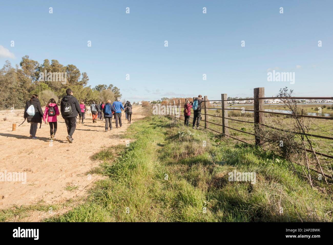Gruppe von Menschen, die im Nationalpark Doñana wandern, mit el Rocio Dorf im Hintergrund, Andalusien, Spanien. Stockfoto