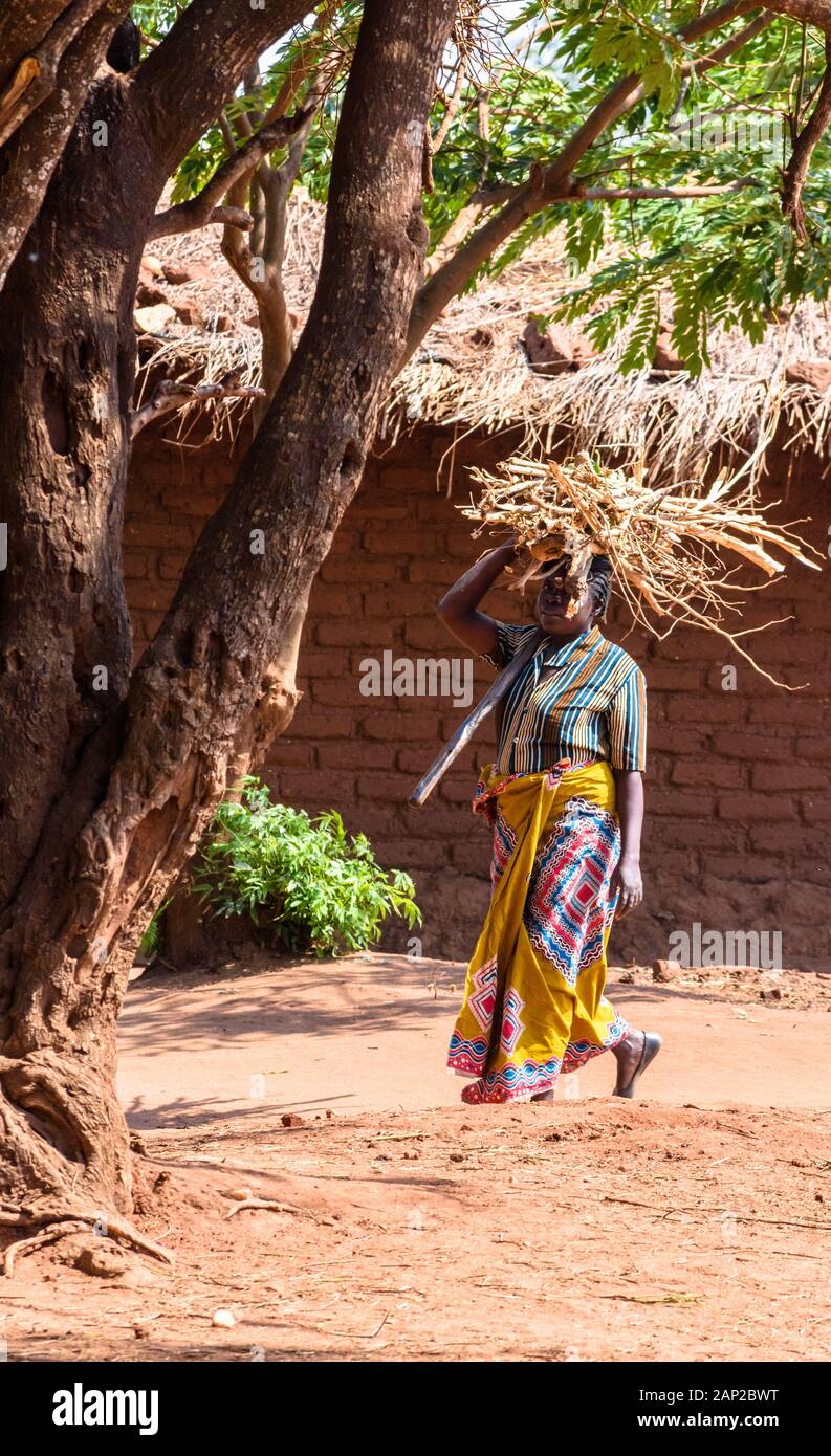 Malawianerin, die mit einer Axt auf der Schulter Brennholz auf dem Kopf trägt, die sie zum Kochen in einem malawischen Dorf gesammelt hat Stockfoto