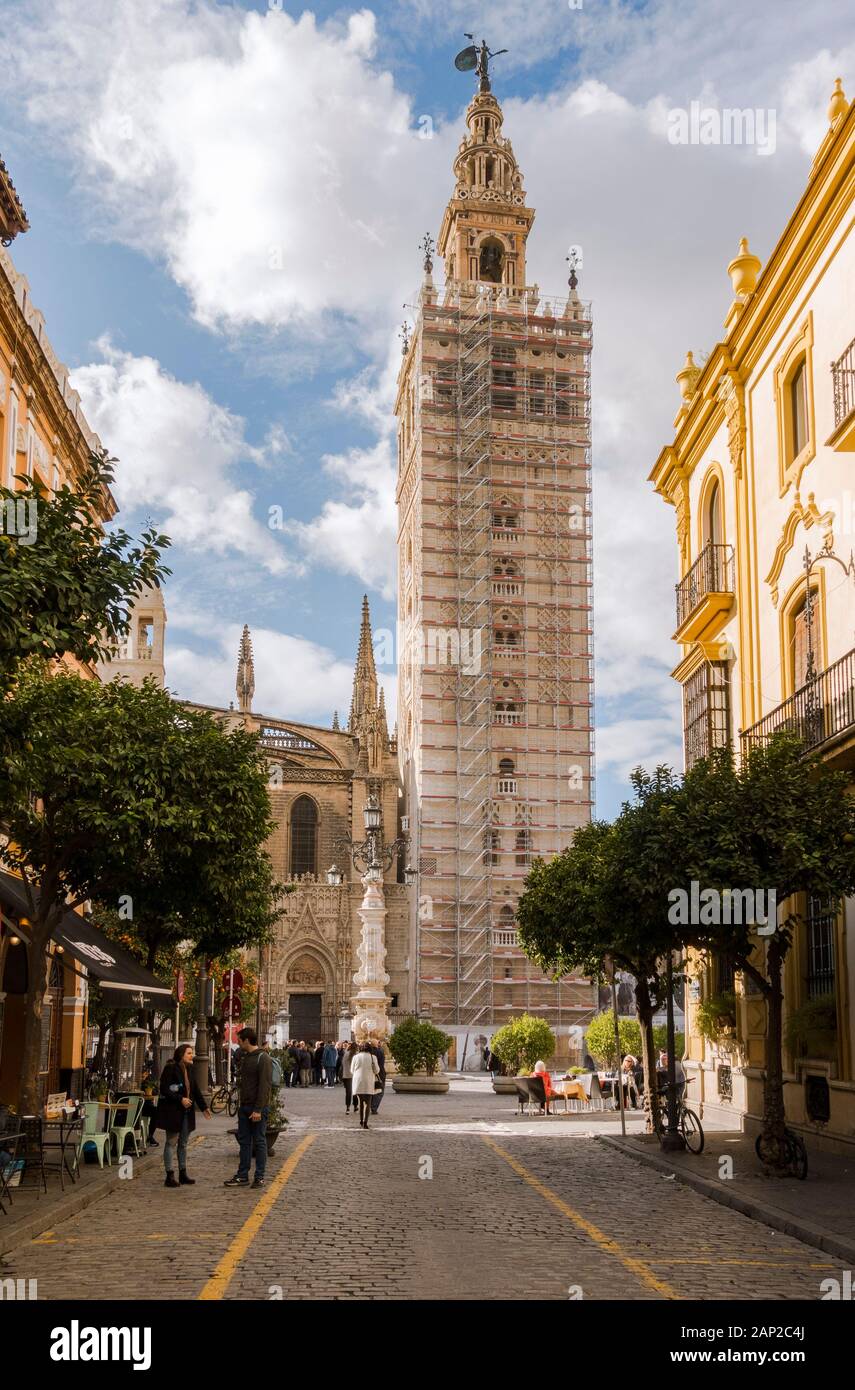 Sevilla Kathedrale und Giralda Glockenturm mit Gerüst, Sevilla, Renovierung, Andalusien, Spanien. Stockfoto