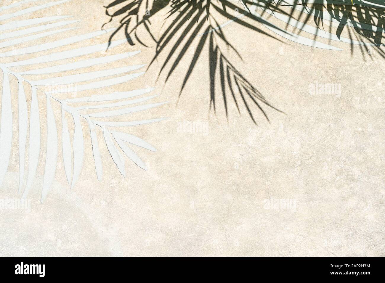 Palm Leaf Schatten auf weißem Sand am tropischen Strand. Trendy urlaub Konzept. Selektive konzentrieren. Stockfoto