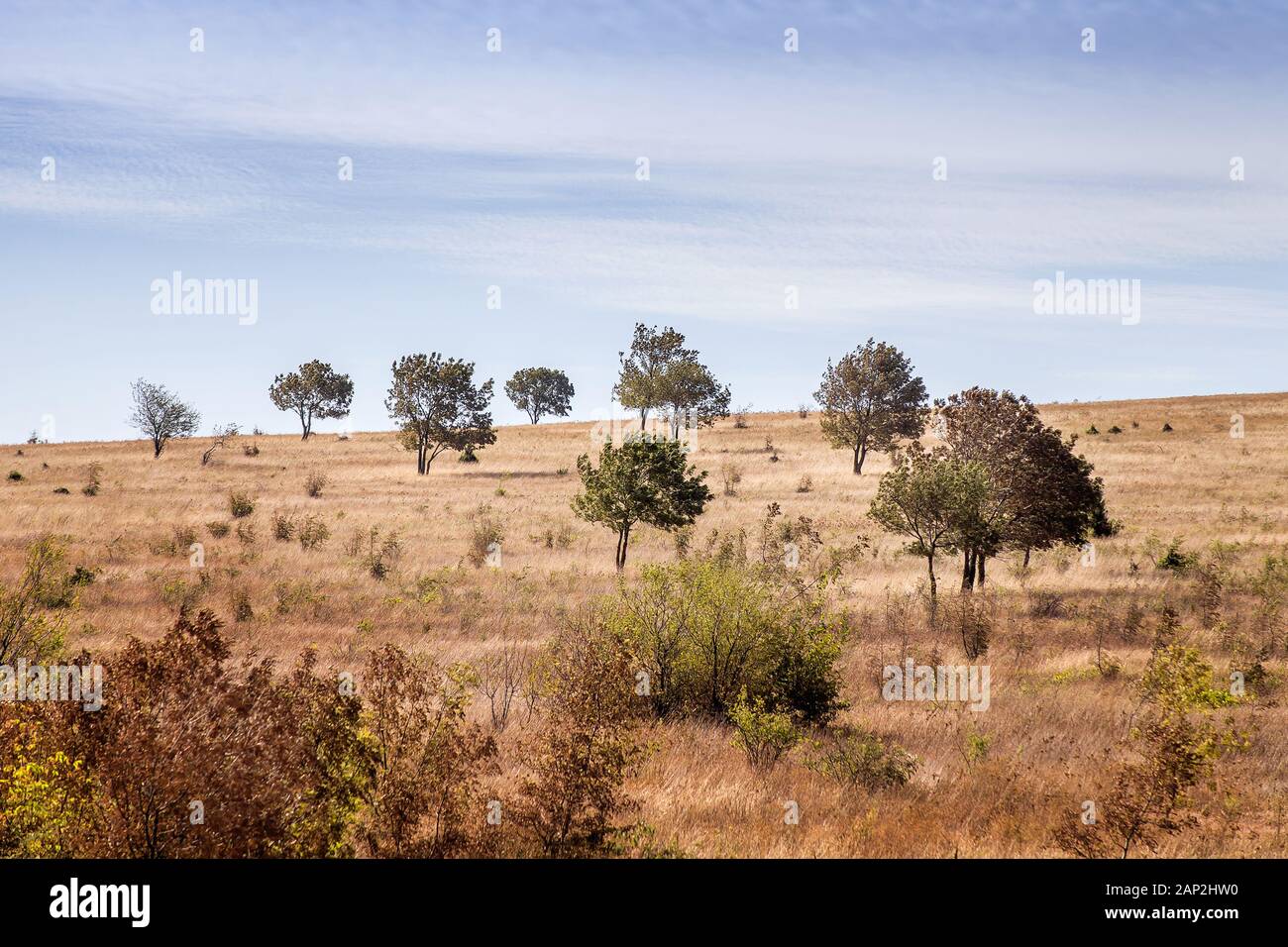 Herbststeppe. Russland Stockfoto