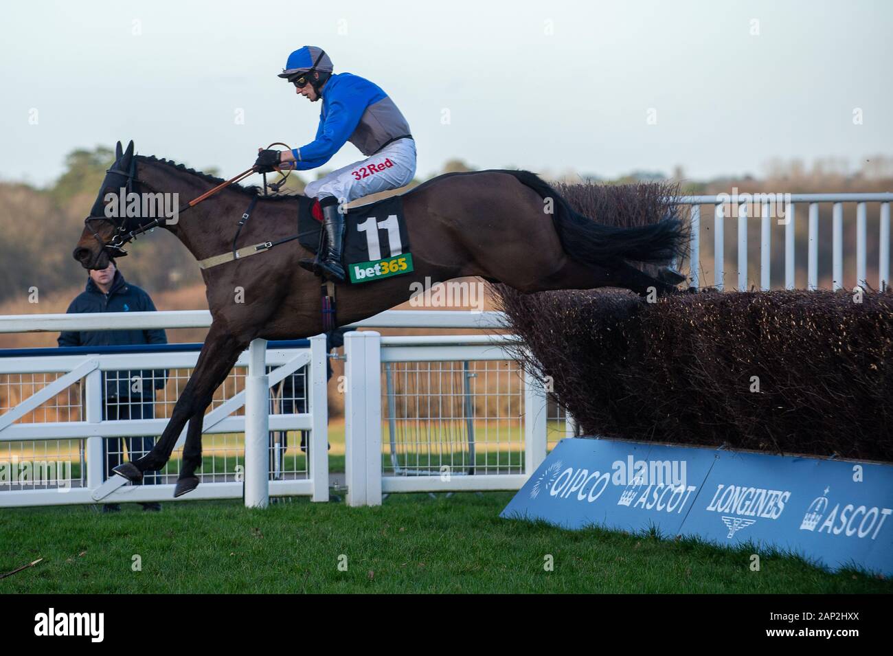 Ascot, Berkshire, Großbritannien. 18 Jan, 2020. Ascot, Berkshire, Großbritannien. 18 Jan, 2020. Jockey Paddy Brennan Rennen in der Bet365 Handicap Steeple Chase auf Pferd Aintree mein Traum. Inhaber Frau D J Braun, Trainer Milton Harris, Warminister, Züchter Anne Sophie Orriere & Didier Veillon. Credit: Maureen McLean/Alamy Stockfoto