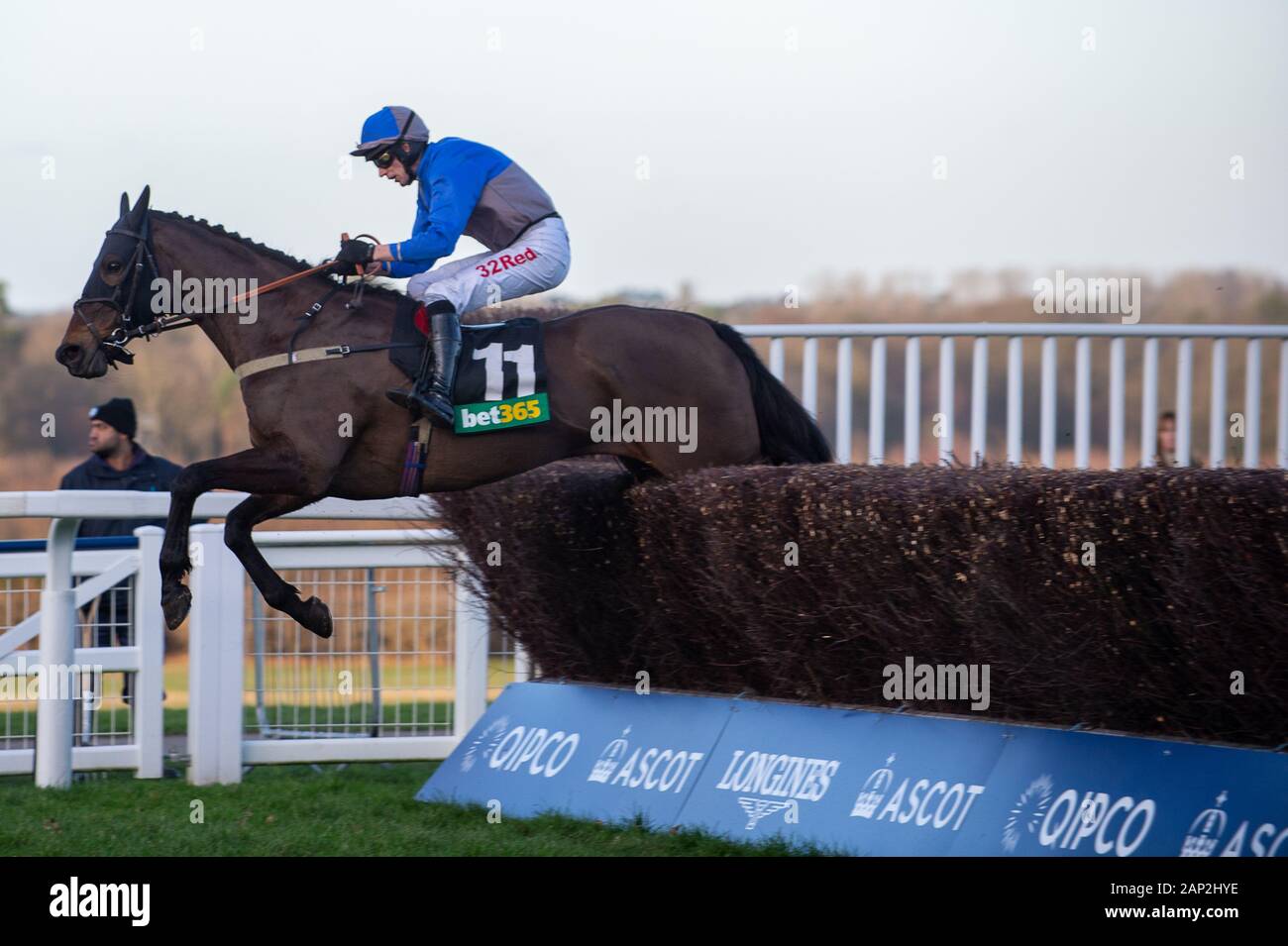Ascot, Berkshire, Großbritannien. 18 Jan, 2020. Ascot, Berkshire, Großbritannien. 18 Jan, 2020. Jockey Paddy Brennan Rennen in der Bet365 Handicap Steeple Chase auf Pferd Aintree mein Traum. Inhaber Frau D J Braun, Trainer Milton Harris, Warminister, Züchter Anne Sophie Orriere & Didier Veillon. Credit: Maureen McLean/Alamy Stockfoto