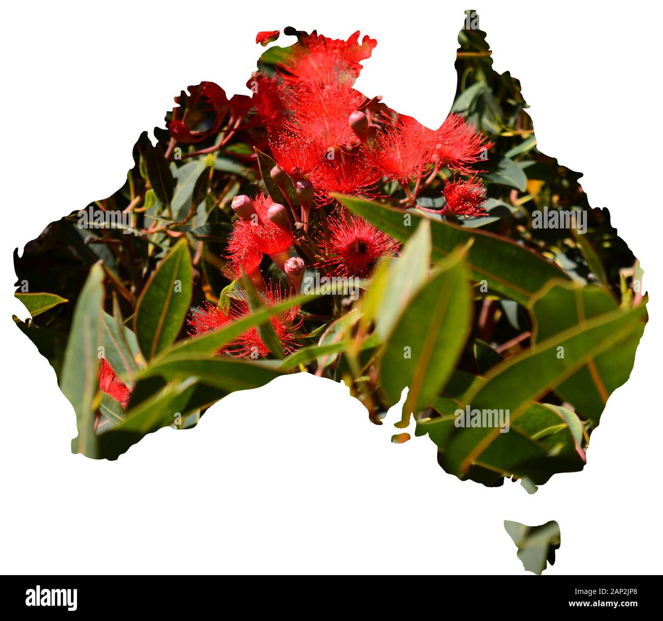 Der Blick auf die Natur und Landschaft von Australien in eine Karte des Landes Stockfoto
