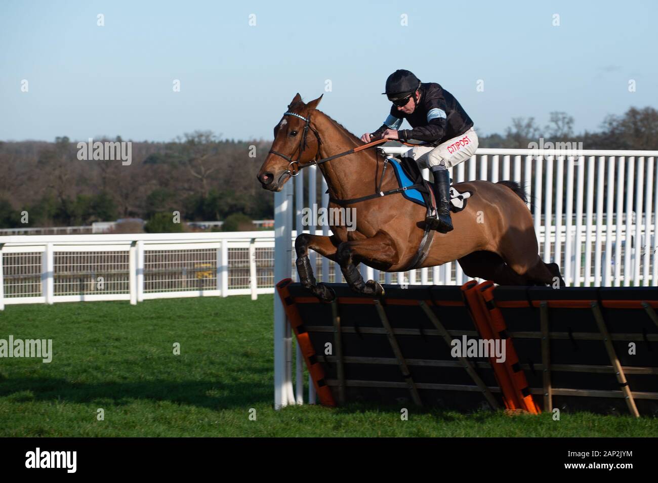 Ascot, Berkshire, Großbritannien. 18. Januar, 2020. Jockey Leighton Aspell Fahrten Pferd Manucci im Ascot IJF Ambassador Programm Juvenile Hurdle Race (Klasse 3) auf der Pferderennbahn Ascot. Credit: Maureen McLean/Alamy Stockfoto