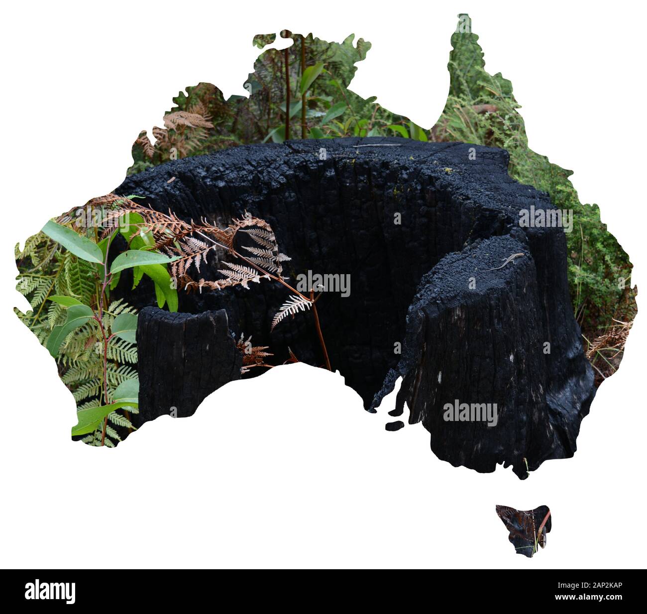 Der Blick auf die Natur und Landschaft von Australien in eine Karte des Landes Stockfoto