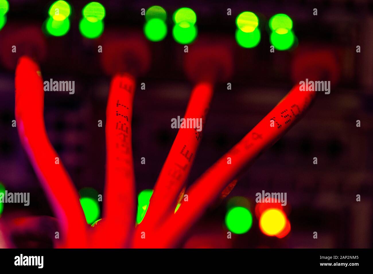 Bunte Kabel an der Rückseite des Servers Stockfoto
