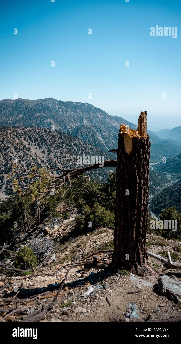Herrliche Aussicht in San Gabriel Mountains, Mount Baldy Stockfoto