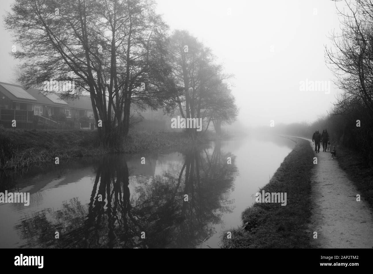 Am frühen nebligen Morgen am Trent and Mersey Kanal (Staffordshire, Großbritannien). Reflexion der grünen Bäume im Wasser. Fußweg, der in die Ewigkeit geht Stockfoto