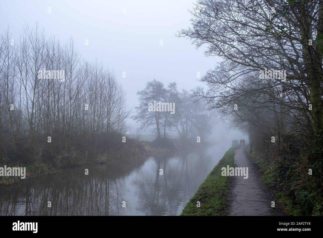 Nebeliger englischer Wintermorgen. Gehen Sie neben Trent und Mersey Canal in Staffordshire, in der Nähe der Kleinstadt Stone. Stockfoto