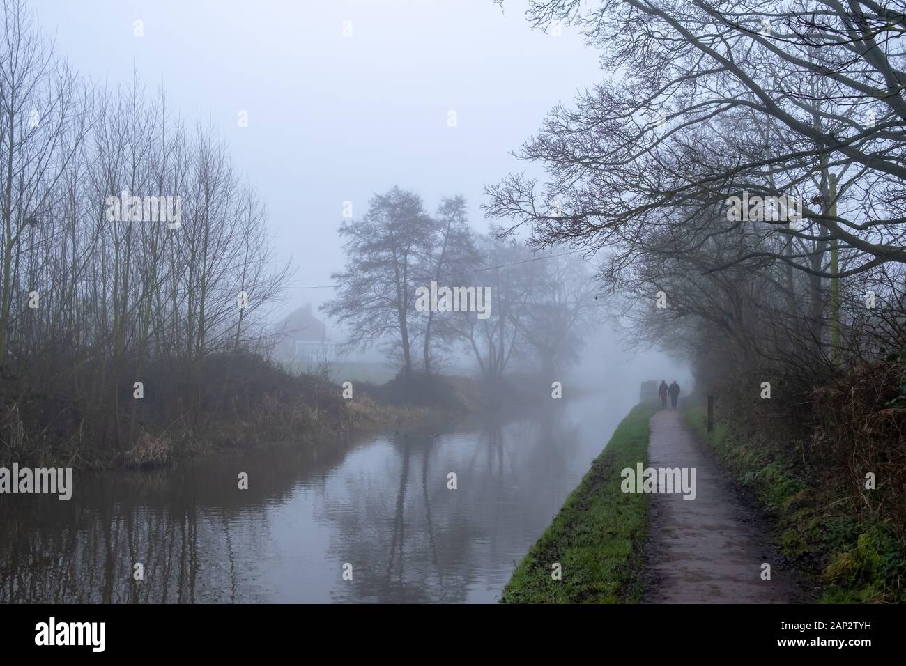 Nebeliger englischer Wintermorgen. Gehen Sie neben Trent und Mersey Canal in Staffordshire, in der Nähe der Kleinstadt Stone. Stockfoto