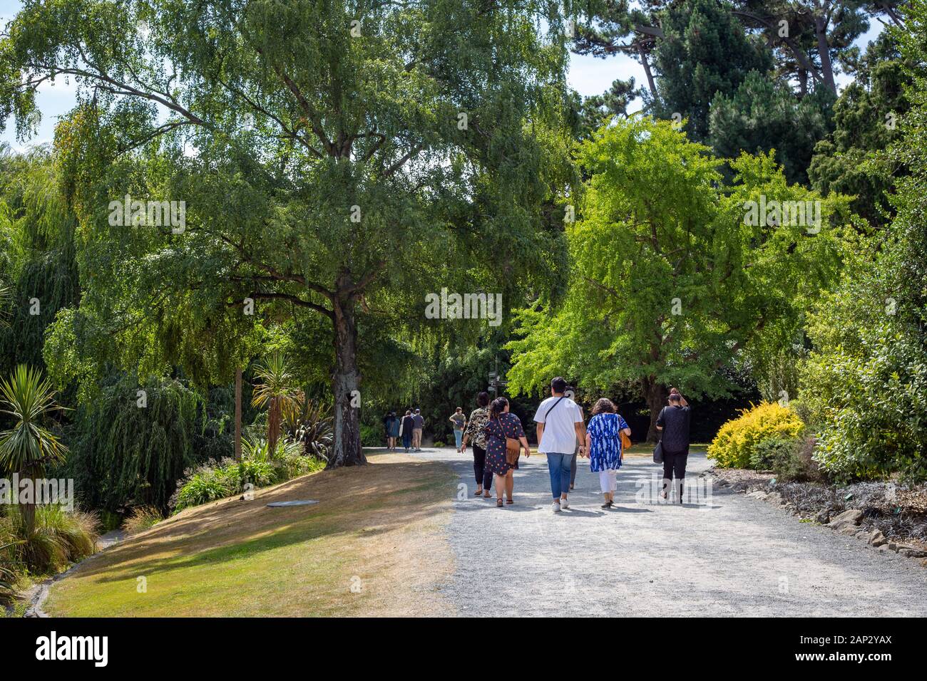 Die Menschen genießen, man läuft durch eine Stadt park an einem Sommertag in Christchurch, Neuseeland Stockfoto