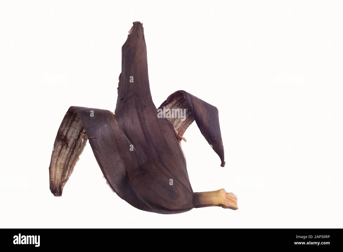 Bananenschale in Form einer erhöhten mittleren Finger auf einem weißen Hintergrund. Die Qual Banane Obst Schälen einer Banane, Braun. nicht frisch. Unzensierte, middl Stockfoto