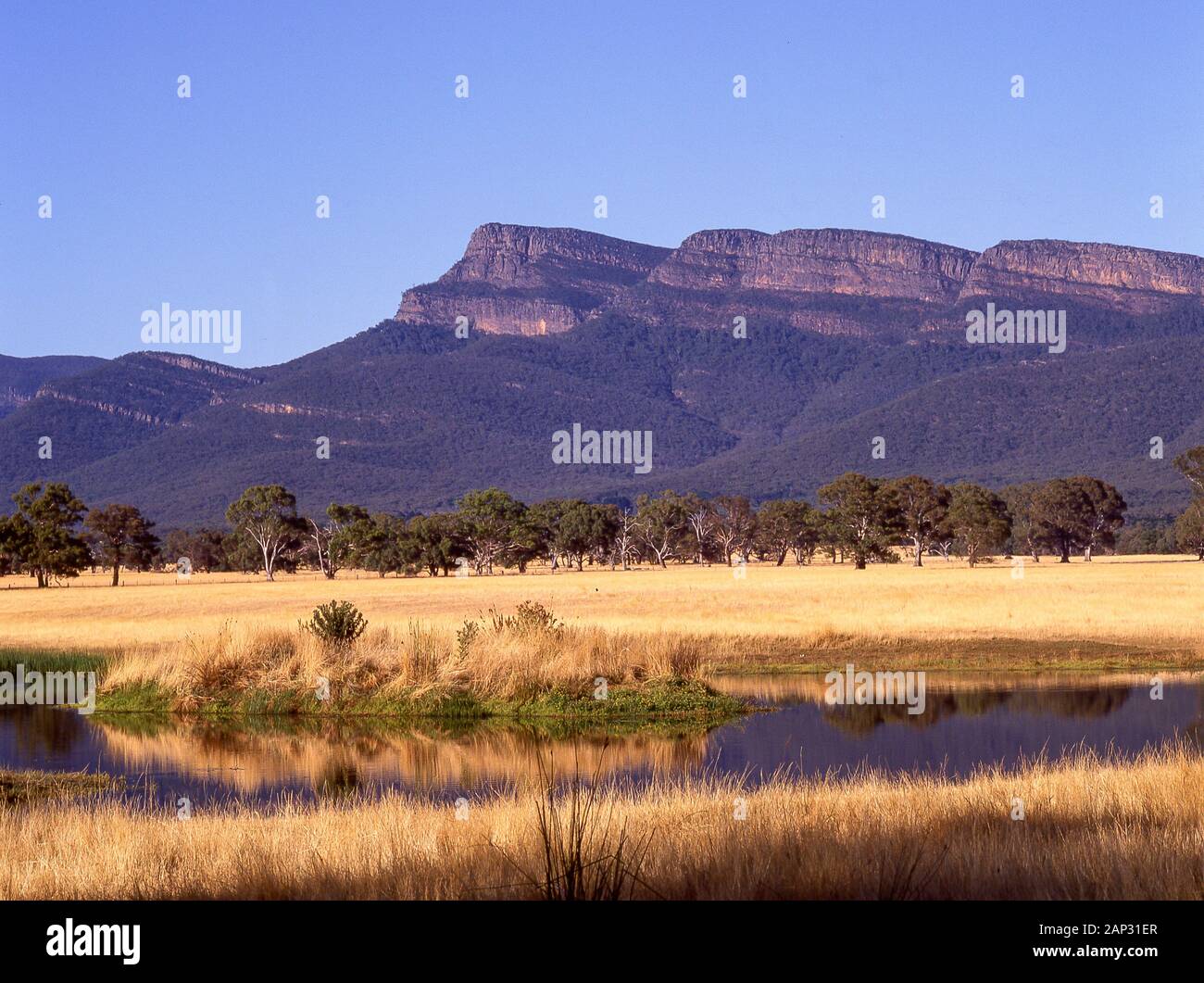Redman's Bluff, Grampians National Park (Gariwerd), Grampians Region, Victoria, Australien Stockfoto