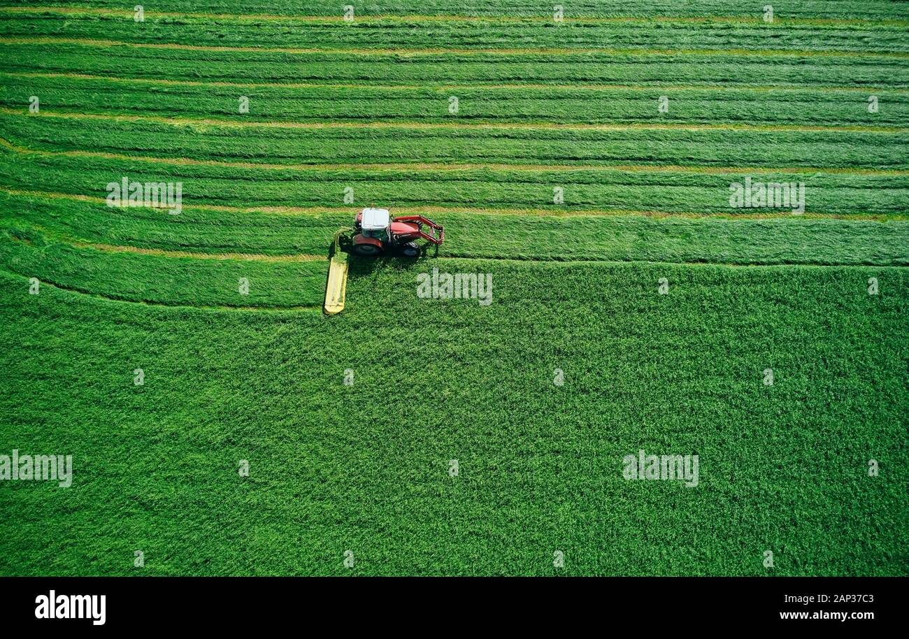 Von oben Kompaktes, leistungsstarkes Traktor pflügen Grüne helle Feld gewetzt im hellen Tag Stockfoto
