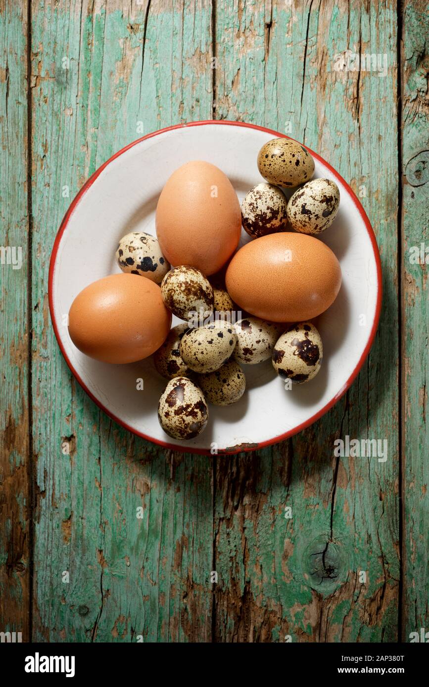 Wachtel und Hühnereier auf einem Holztisch. Stockfoto