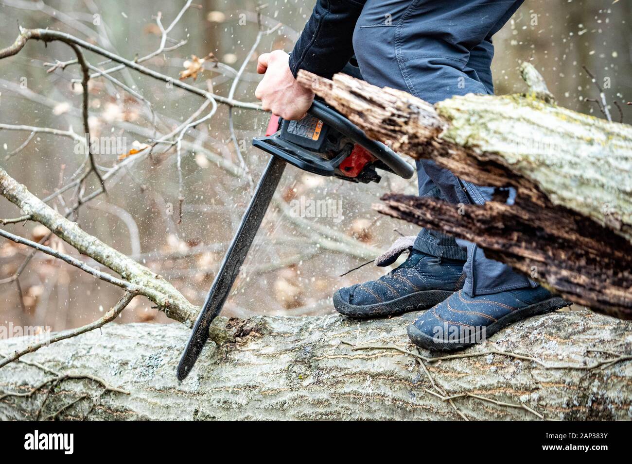 Holzfäller mit einem Gas-Powered Kette Säge schneiden von Bäumen in der Nähe von Stockfoto