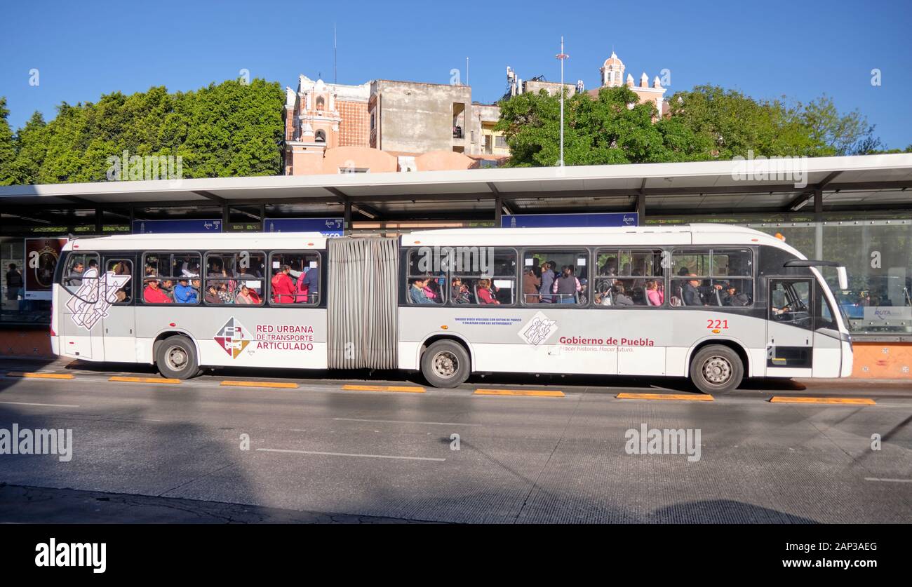 RUTA Linea 3 publiic Gelenkbus gestoppt an der Station San Francisco im Zentrum der Stadt. Puebla, Mexiko. Stockfoto