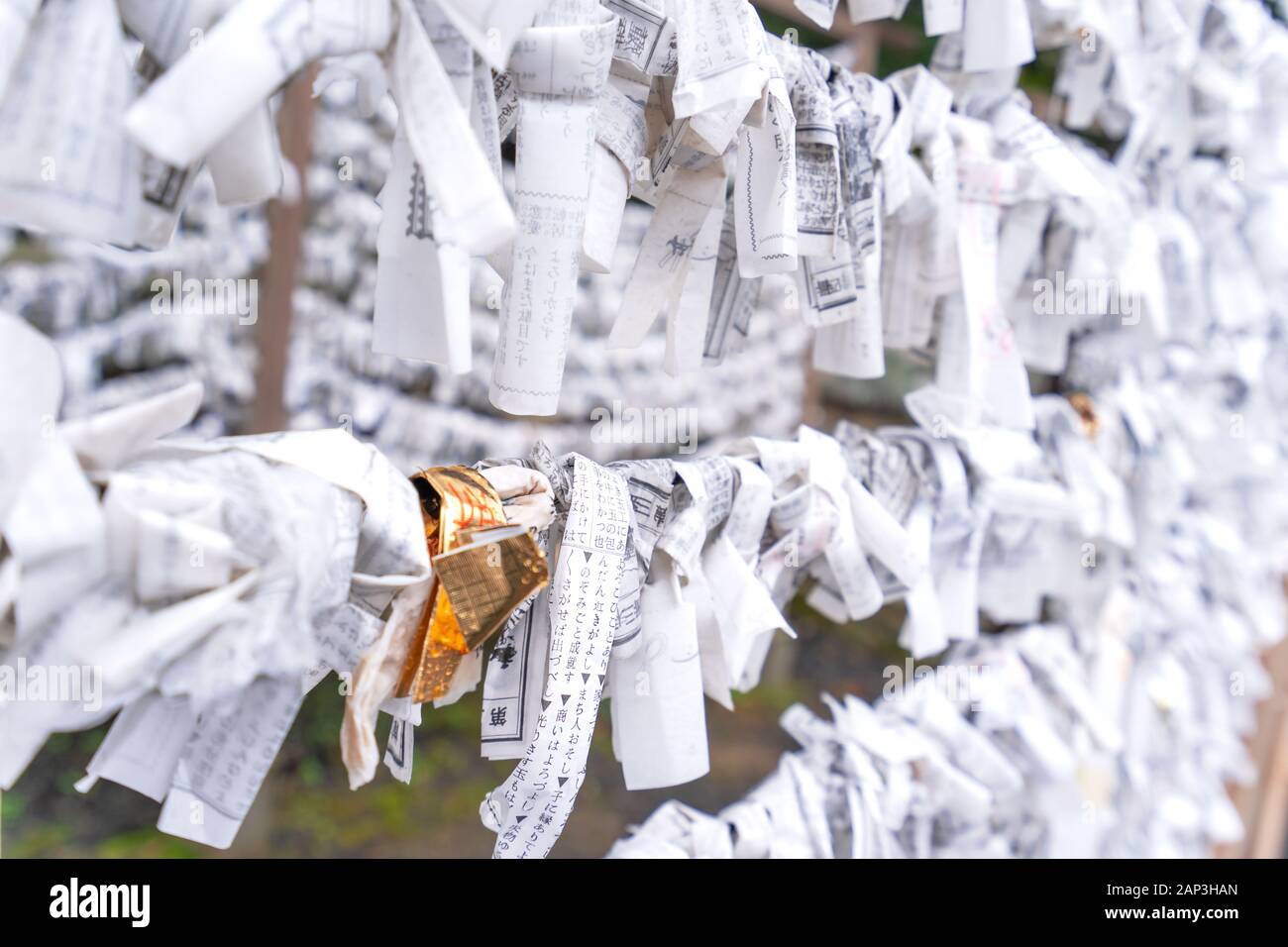 Saga, Japan - November 12, 2018: Japanische random Wahrsagen Papier (OMIKUJI) gefaltet und am Seil Drähte (Omikuji kake) im traditionellen Tempel gebunden, Konze Stockfoto