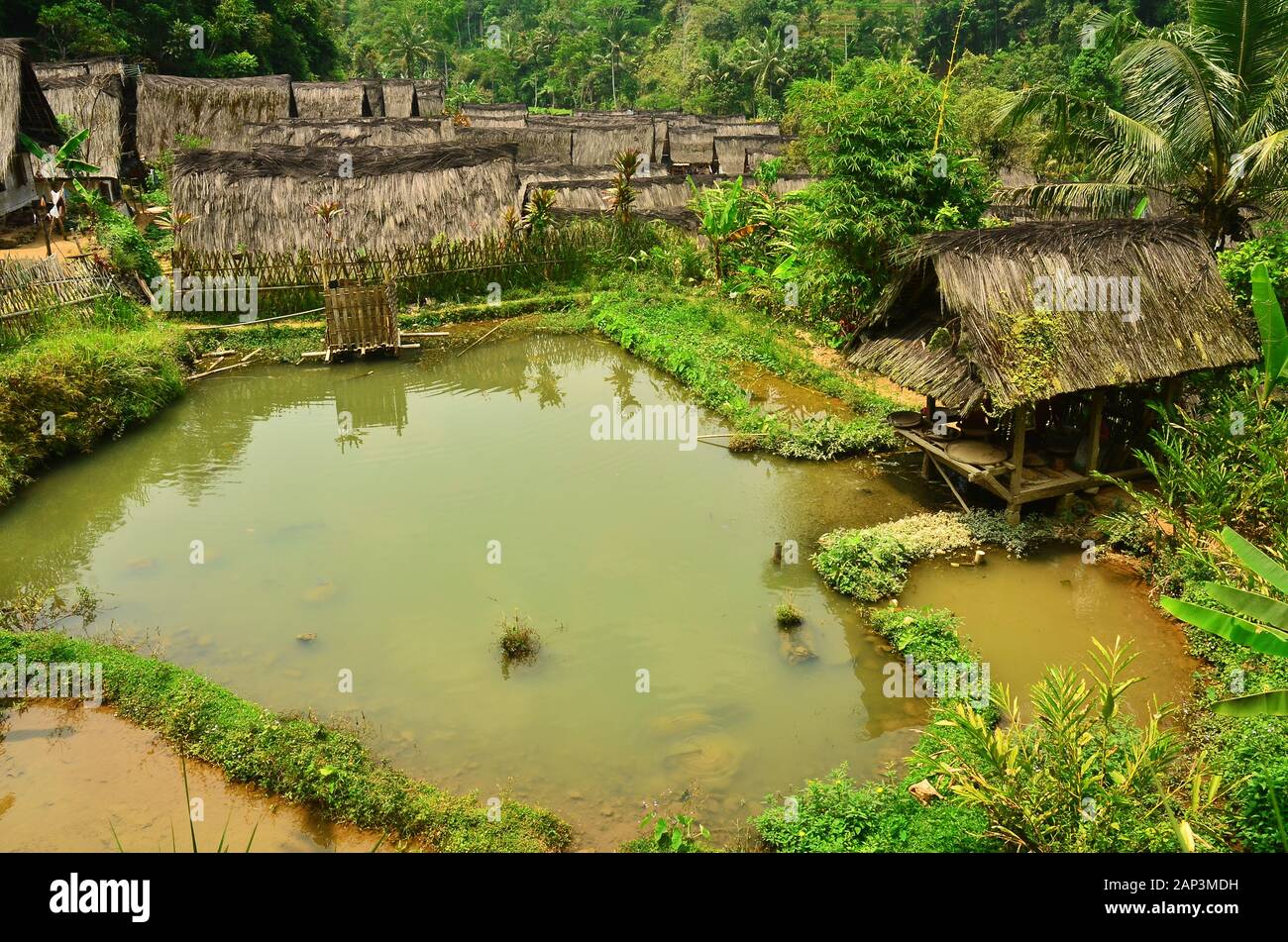 Dorfteiche zwischen den Wohnhäusern in Tasikmalaya, Westjava, Indonesien Stockfoto