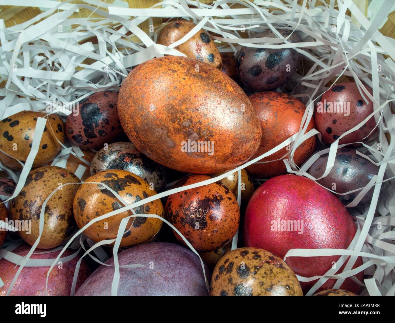 Bemalte Hühner und Wachteln Eier in einem Korb Stockfoto