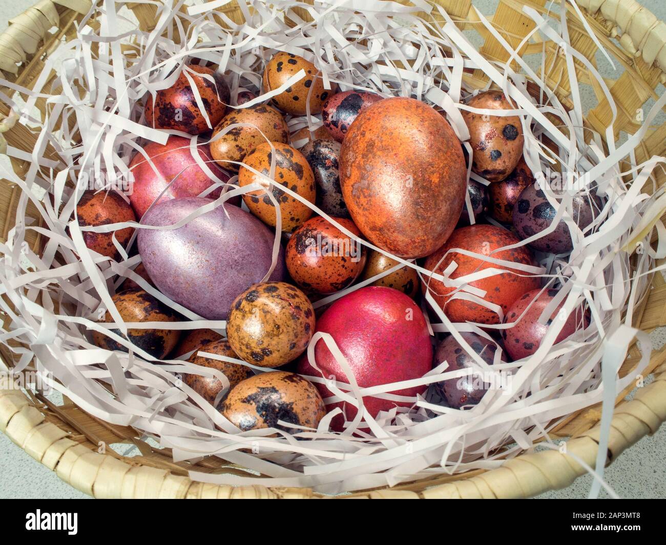 Bemalte Hühner und Wachteln Eier in einem Korb Stockfoto