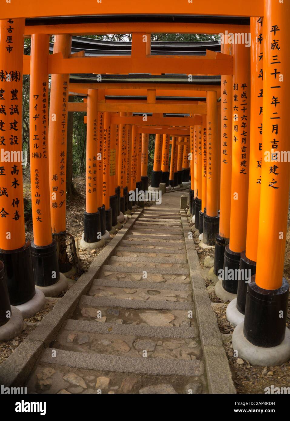 Gehweg am Fushimi Inari Kyoto Japan Torii Tor im Herbst Stockfoto