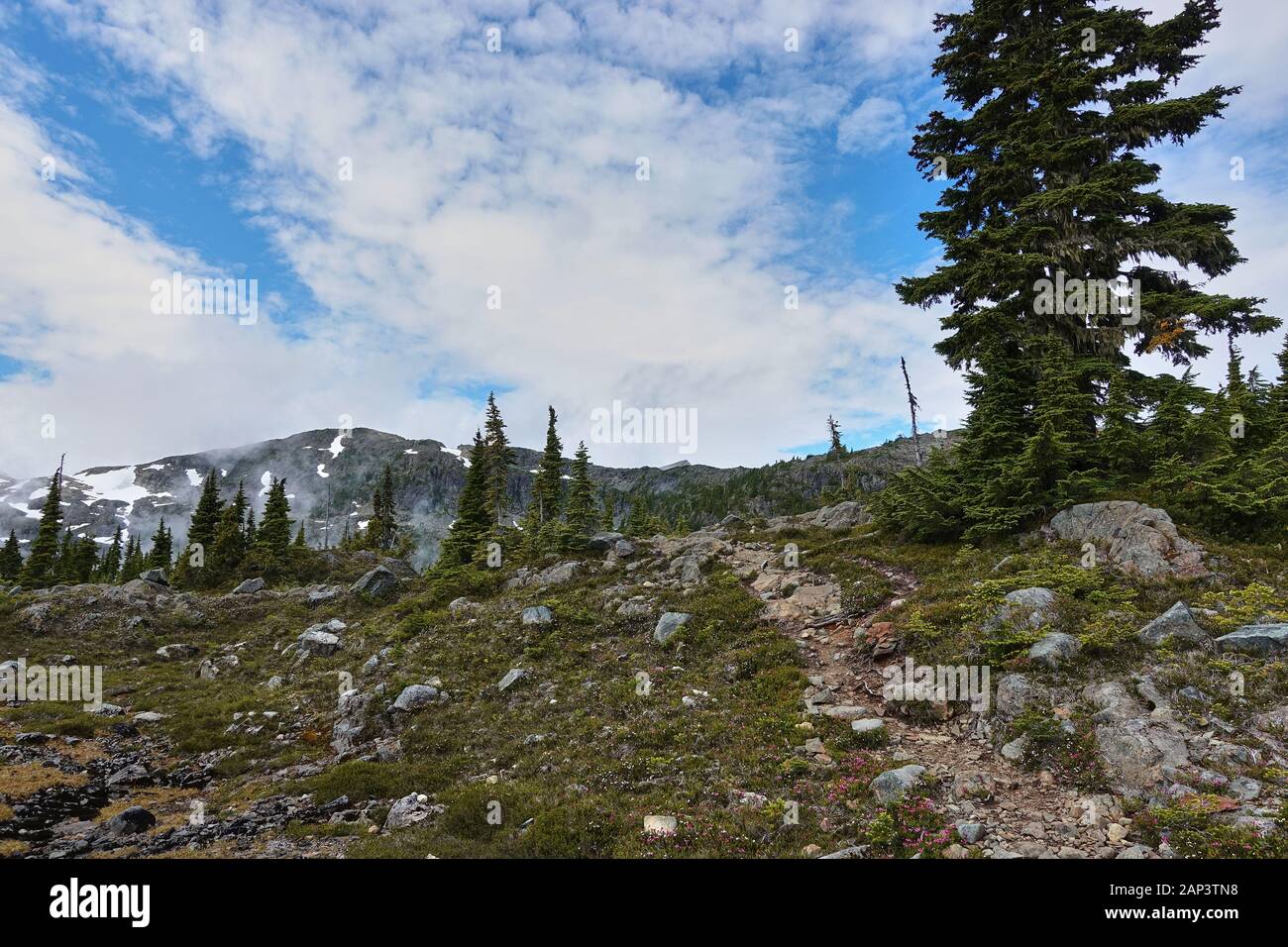 Eine West Coast Alpine Mountain Range. Stockfoto