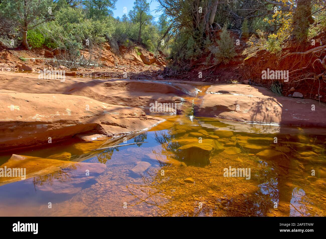 Ein Pool von Wasser auf der Rückseite O Über Trail Head, auf den Gipfel des Cathedral Rock im Sedona Arizona führt. Stockfoto