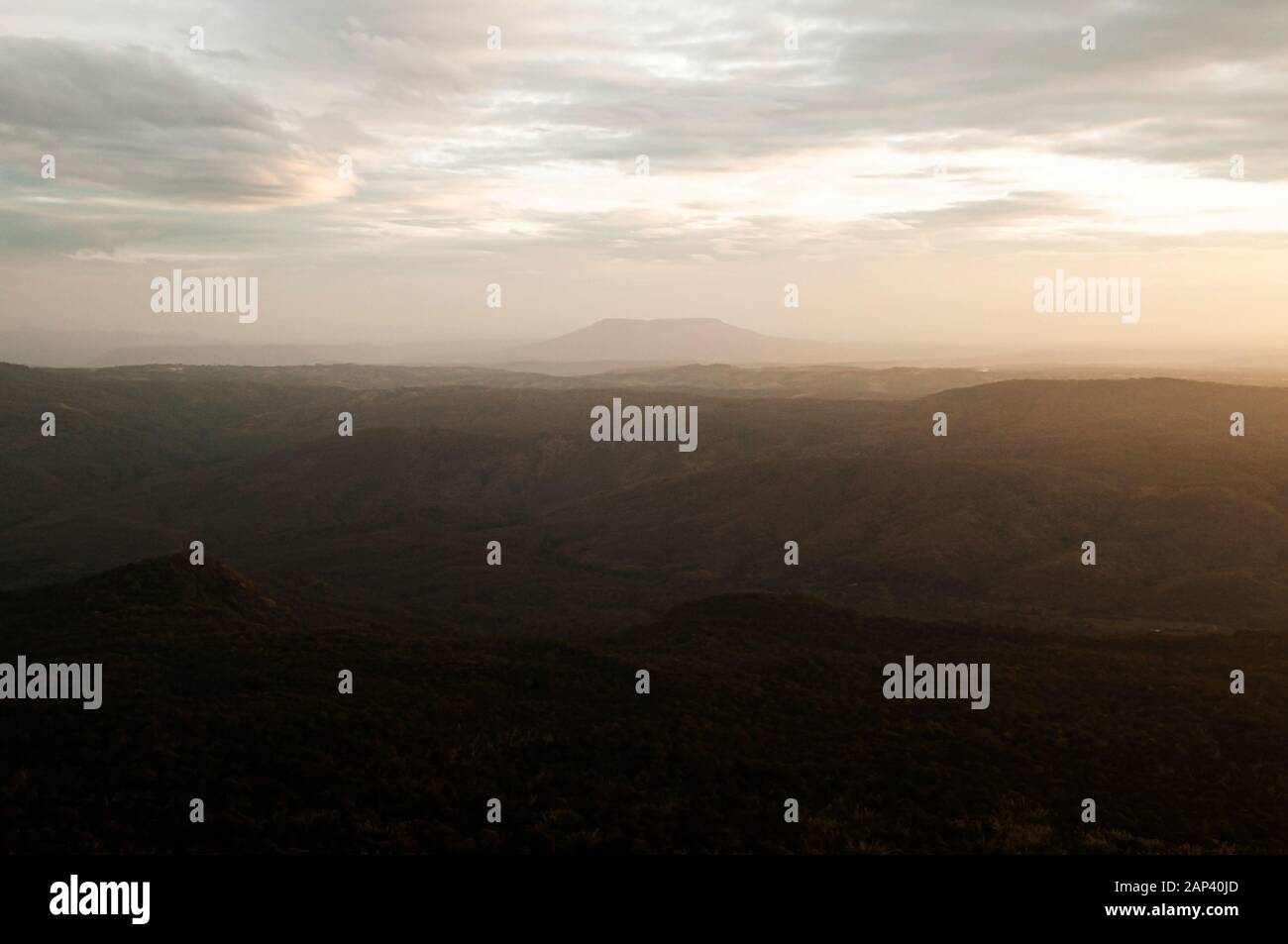 Wunderschöne, üppige tropische Waldlandschaft mit Tafelberg, Phu Pha Jit im Nam Nao Nationalpark, am Abend goldfarbenes Licht vor Sonnenuntergang. Stockfoto