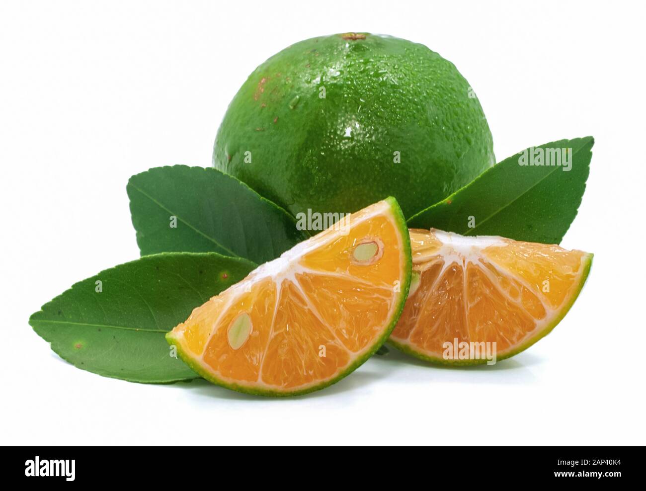 Einzelnes Objekt aus grün orangefarbenem Obst isoliert auf weißem Hintergrund Stockfoto