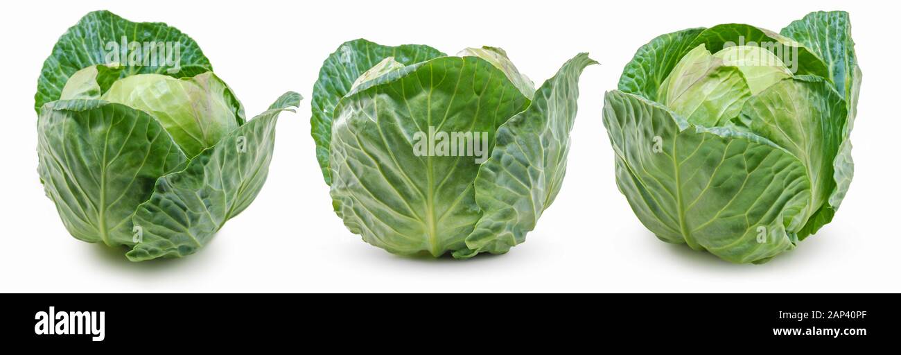Satz Grünkohl Gemüse isoliert auf weißem Hintergrund Stockfoto