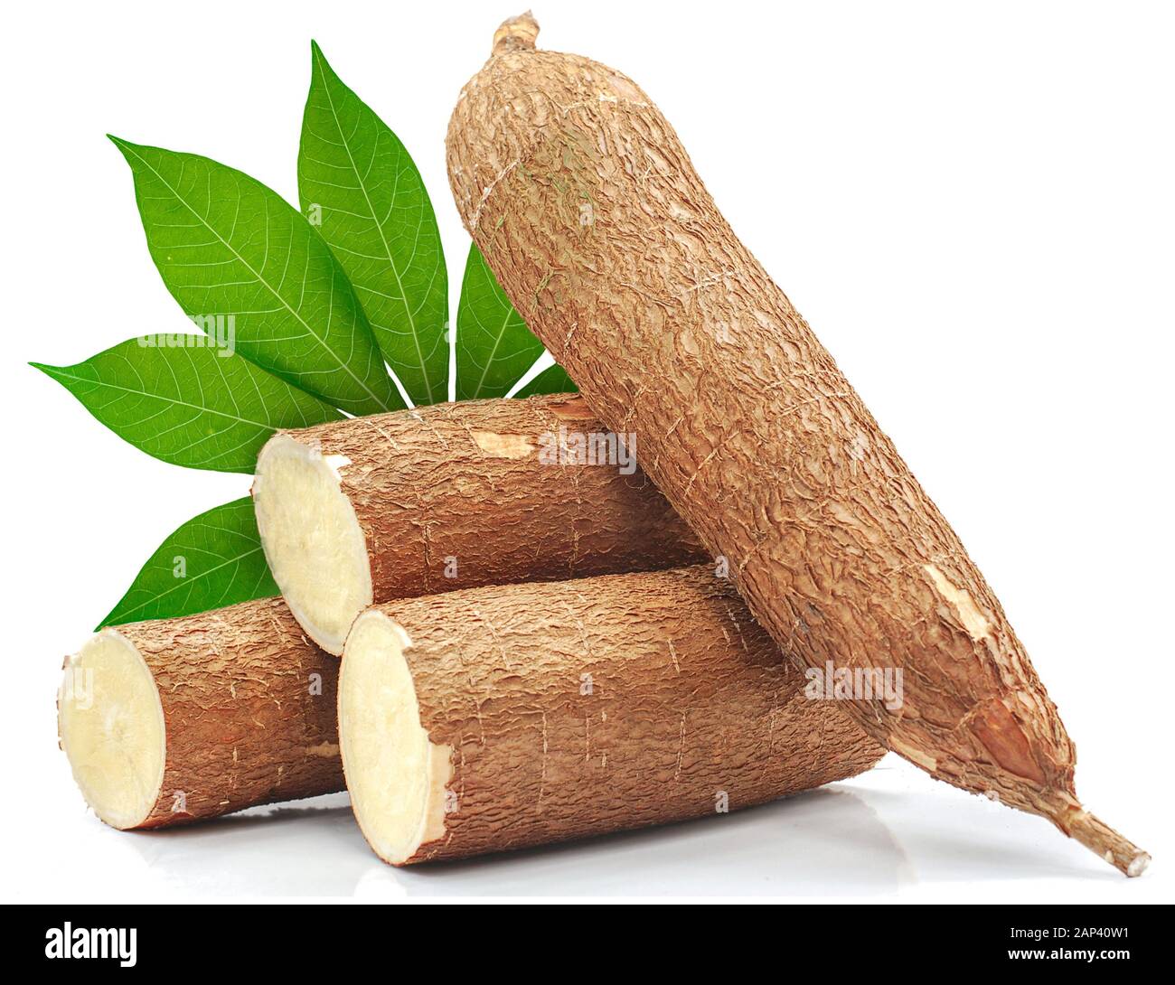Einzelobjekt der Cassava-Wurzel isoliert auf weißem Hintergrund Stockfoto