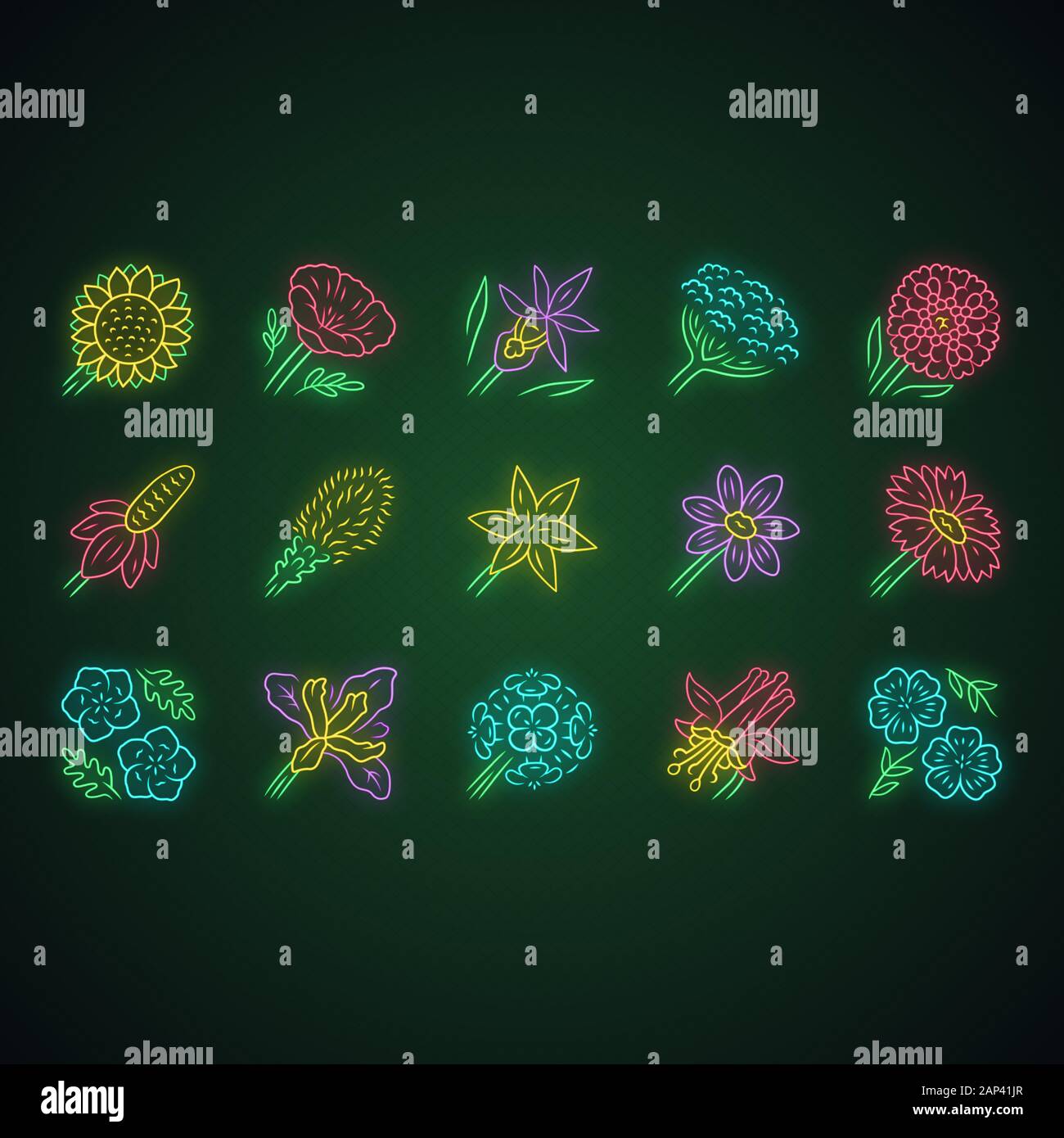 Wilde Blumen Neon Licht Symbole gesetzt. Spring Blossom. Kalifornien Wildblumen. Garten dekorative Pflanzen. Botanische bündeln. Wiese und Feld Blumen, Unkraut. Stock Vektor